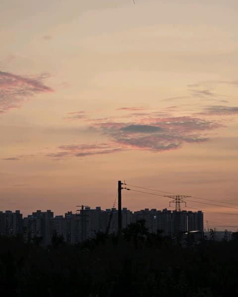 평택섶길10코스(과수원길) 사진 2