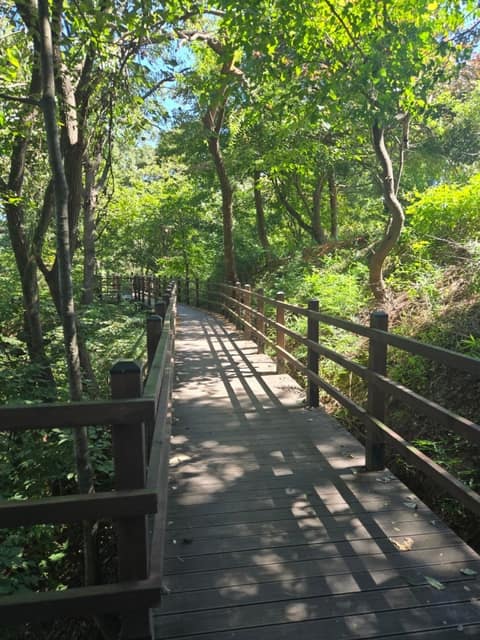 대청호오백리길4구간(호반낭만길) 사진 1