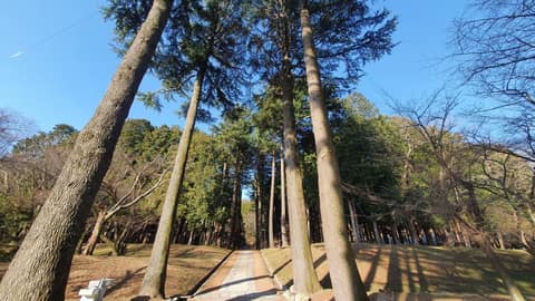 천성산누리길1코스(숲속의노래) 사진 1