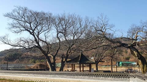 천성산누리길1코스(숲속의노래) 사진 2