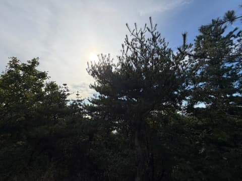 인천둘레길16코스(장봉도) 사진 6