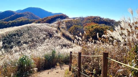 전북천리길장수마실길 사진 3