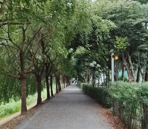 양평물소리길 사진 9