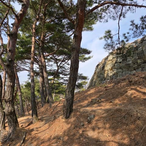 경기둘레길김포2코스 사진 6