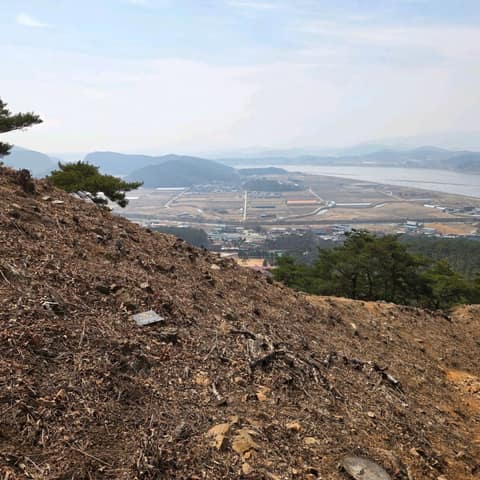 경기둘레길김포2코스 사진 7