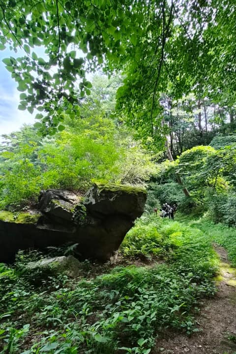 원주굽이길13코스(구학산꽃댕이길) 사진 2