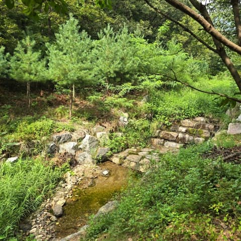 백운산솔밭황톳길 사진 3