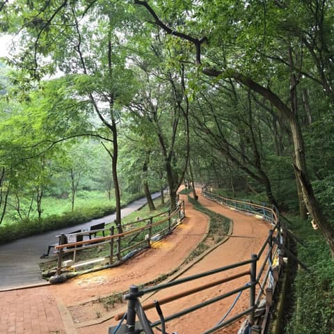 백운산솔밭황톳길 사진 7
