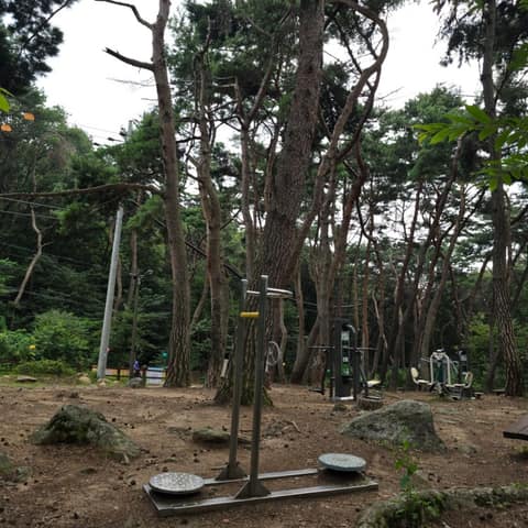 백운산솔밭황톳길 사진 9