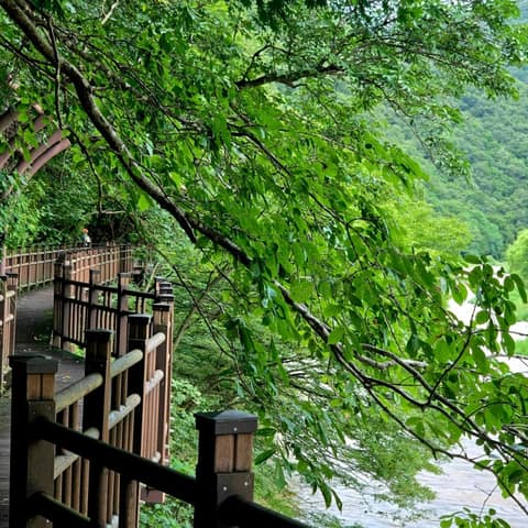 월류봉둘레길(여울소리길) 사진 8