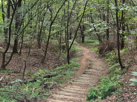 평택섶길8-1코스(무봉산둘레길) 사진 1