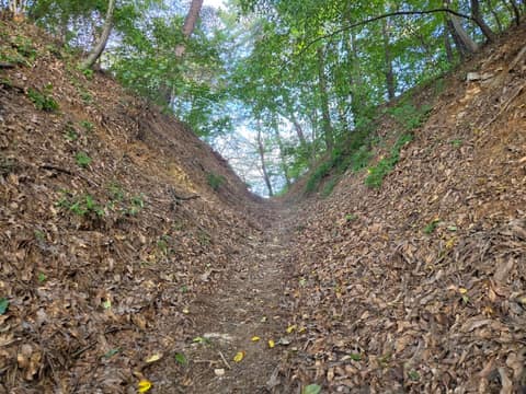 평택섶길8-1코스(무봉산둘레길) 사진 4