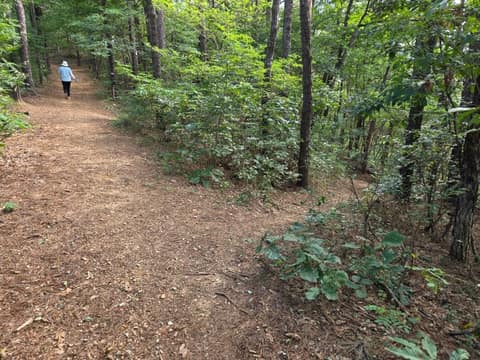 평택섶길8-1코스(무봉산둘레길) 사진 6