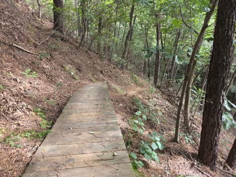 평택섶길8-1코스(무봉산둘레길) 사진 8