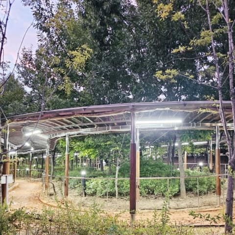 풍산근린3호공원황토산책길 사진 10