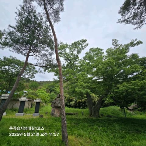 전북천리길운곡습지생태길2코스 사진 4