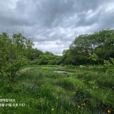 전북천리길운곡습지생태길1코스 사진 4
