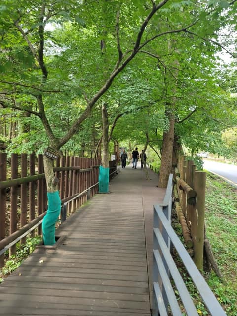 광릉숲생물권보전지역둘레길4코스(고모리산성길) 사진 6