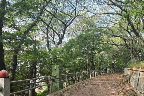 인천둘레길12코스(성창포길) 사진 1
