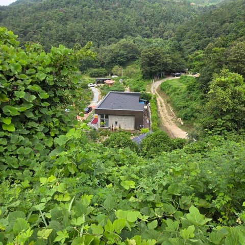 경기둘레길양평28코스 사진 7