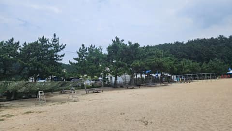 수야방숲길 사진 2