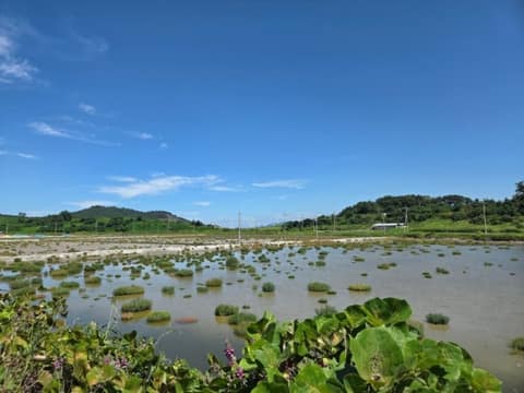서해랑길37코스 사진 9