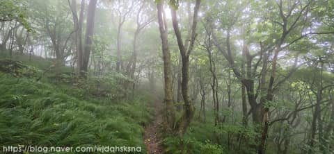 남파랑길23코스 사진 1