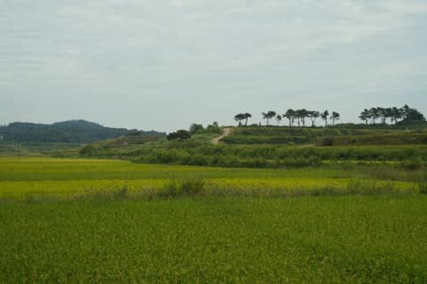 경기둘레길평택45코스 사진 2