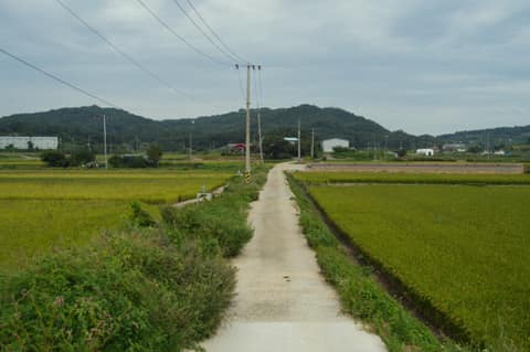 경기둘레길평택45코스 사진 10