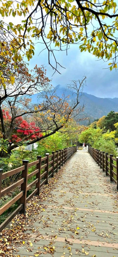 금오산올레길 사진 2