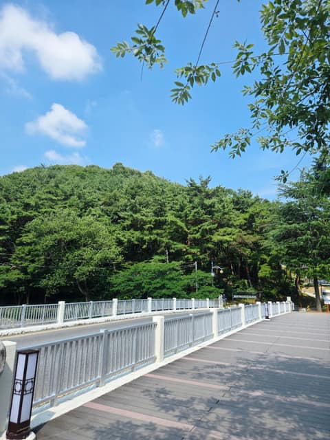 금오산올레길 사진 6