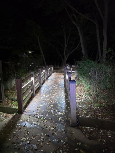 서해랑길49코스 사진 1