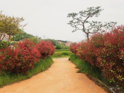 서해랑길20코스 사진 2