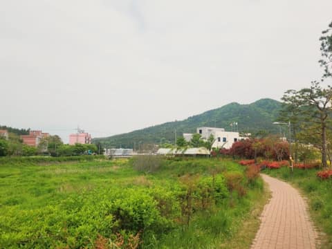 서해랑길20코스 사진 4