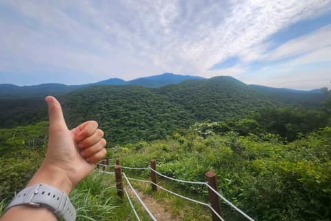 한라산둘레길8구간(절물조릿대길) 사진 8
