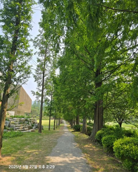 전북천리길한옥마을둘레길 사진 1