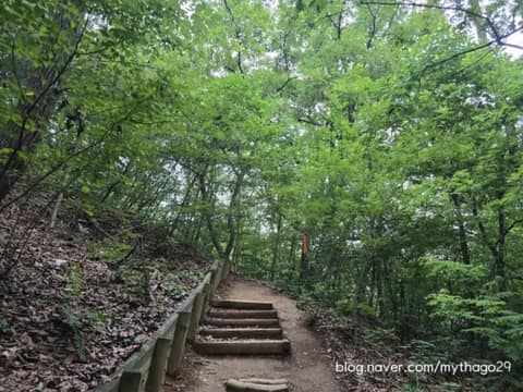 서울둘레길11코스(관악산) 사진 3