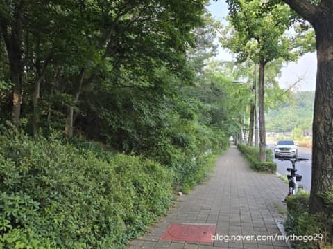 서울둘레길11코스(관악산) 사진 4