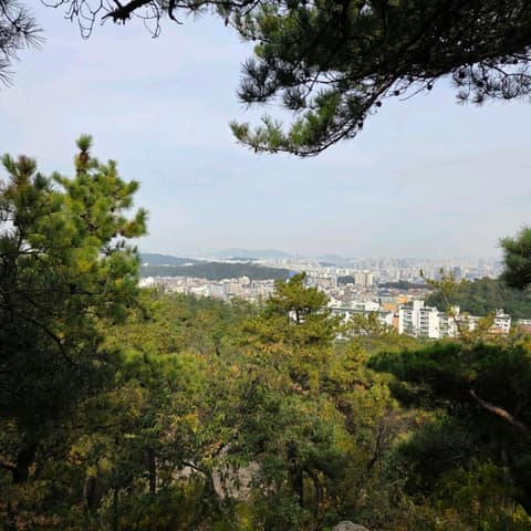 서울둘레길11코스(관악산) 사진 6