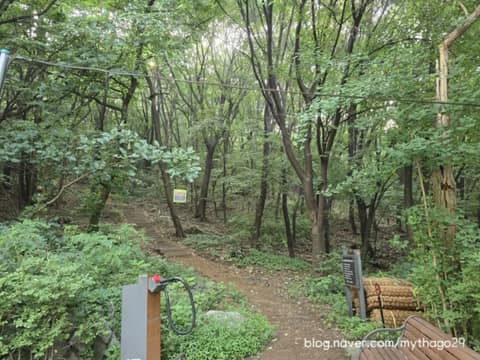 서울둘레길11코스(관악산) 사진 7