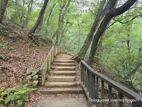 서울둘레길11코스(관악산) 사진 8