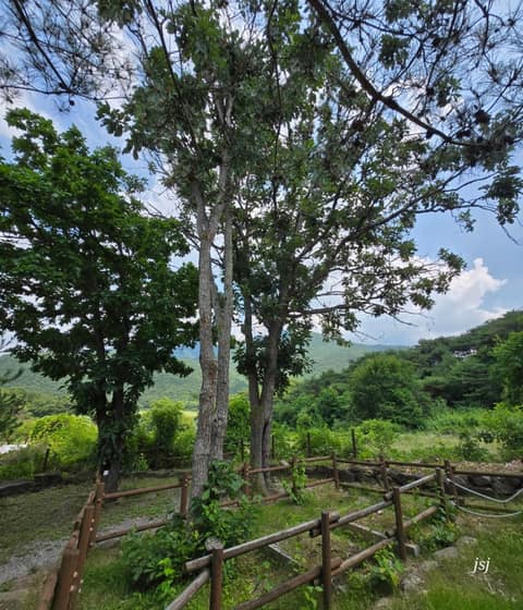 충청도양반길1코스 사진 5