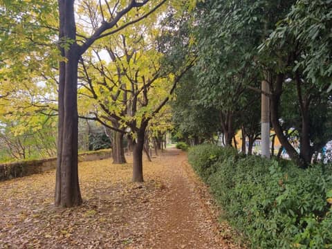 부산갈맷길6코스4구간 사진 5