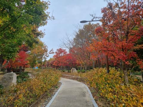 부산갈맷길6코스4구간 사진 8
