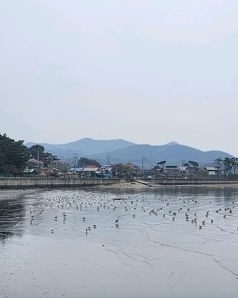 서해랑길57코스 사진 3