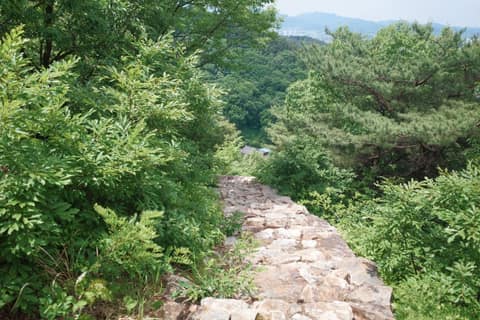 전북천리길천년전주마실길 사진 3