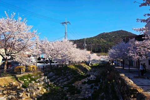 전북천리길천년전주마실길 사진 7