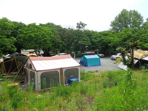 갑천누리길2코스(역사_문화_자연이공존하는갑천길) 사진 2