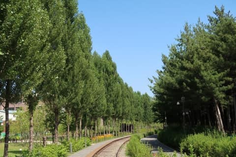 경춘선숲길 사진 3