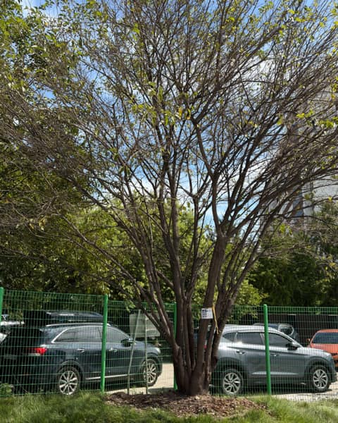 경춘선숲길 사진 7